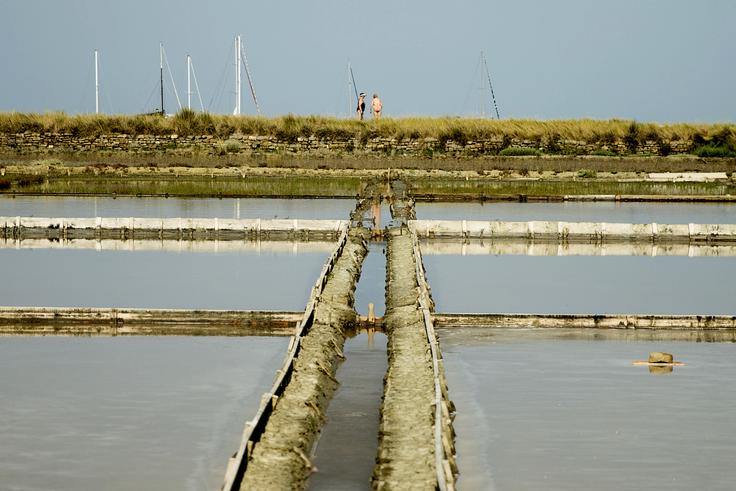 Predel ob izlivu reke Roja so že v srednjem veku spremenili v soline. Tukaj so klimatske razmere idealne za pridobivanje odličnega solnega cveta. | Foto: Ana Kovač