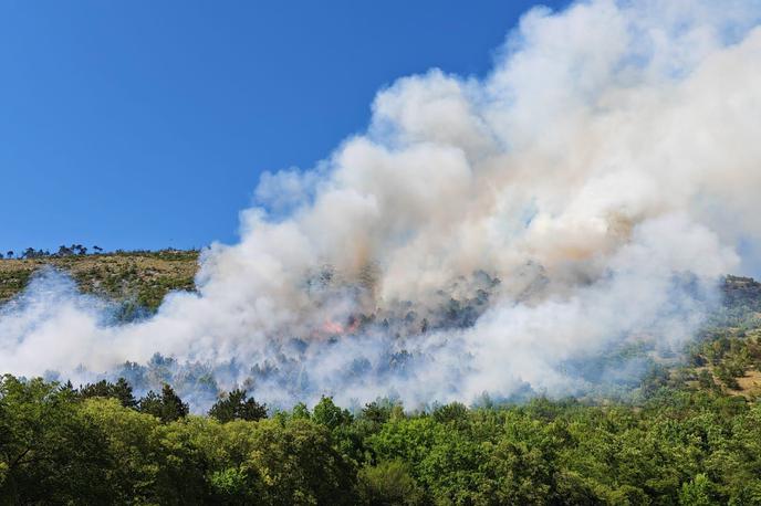 Požar Brestovica pri Komnu | Foto Facebook/Gasilska zveza Slovenije
