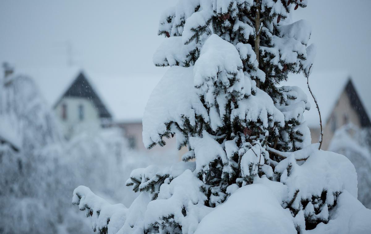 Zima, sneg, vreme, mraz | Foto Klemen Korenjak