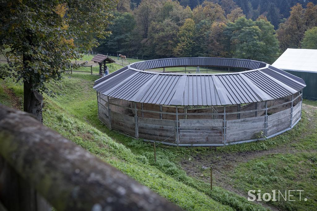 Pedagoško raziskovalni center za konjerejo Krumperk
