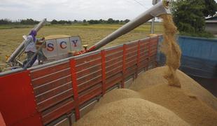 Ekološke in varčne avtomobilske gume iz ostankov riža