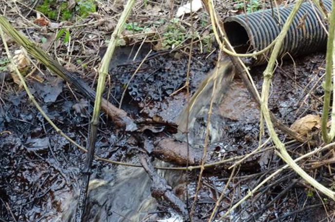 Ceroz odlagališče ekološka bomba | Odpadne vode z odlagališča onesnažujejo okolje na območju občin Laško in Hrastnik, menijo okoliški prebivalci.  | Foto Matic Rotar
