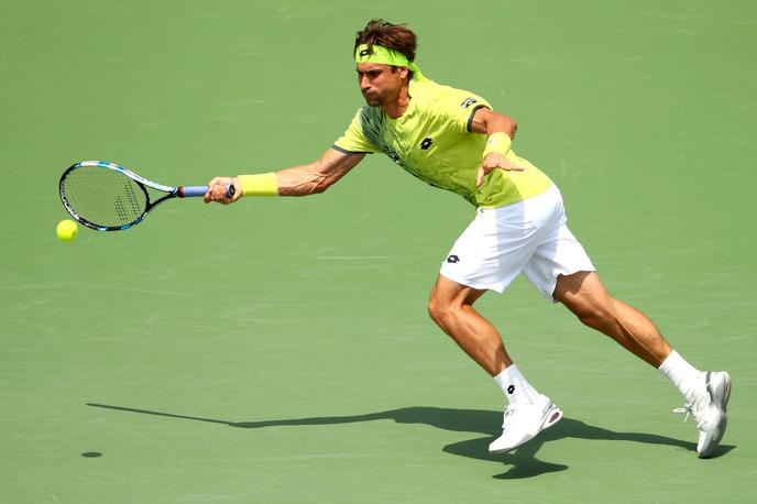 David Ferrer