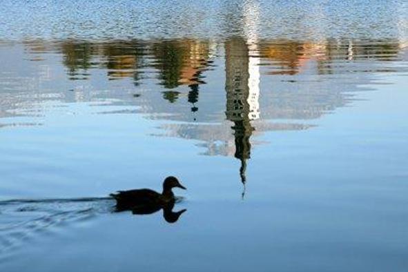 Blejski otok ostaja v lasti države