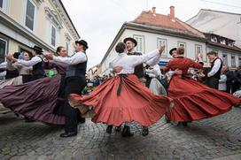 vinorodna štajerska