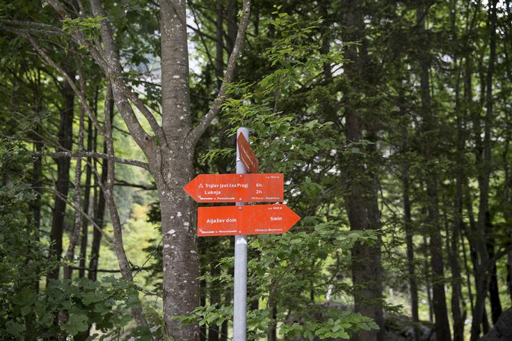 Vrata je avgusta lani v enem dnevu obiskalo kar rekordnih 12 tisoč ljudi. | Foto: Ana Kovač