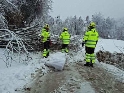 Odpravljanje težav v oskrbi z elektriko bo trajalo več dni #video