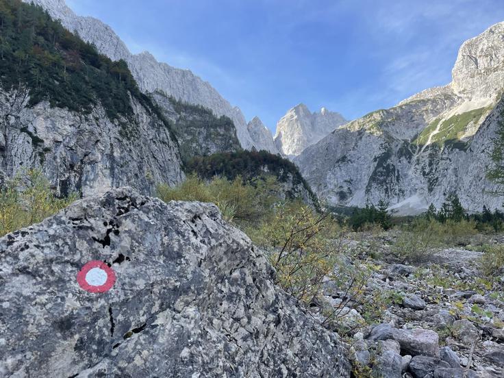 IMG_8971_Triglav_zav_1200 | Foto: Zavarovalnica Triglav