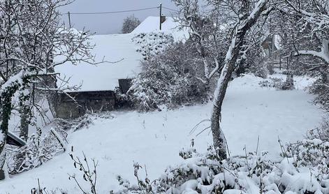 Zasnežilo je Belo Krajino, 20 centimetrov novega snega #video