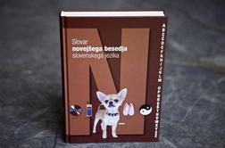 SSKJ po letu 1991 s prvim dopolnilom