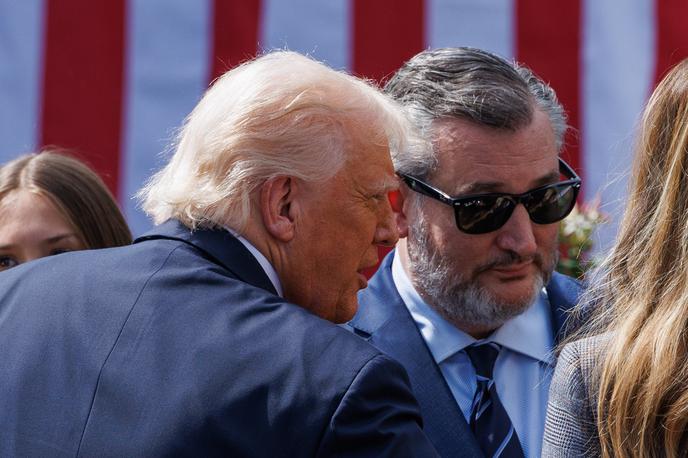 Ted Cruz, Donald Trump | Ted Cruz velja za velikega podpornika predsednika ZDA Donalda Trumpa.  | Foto Reuters