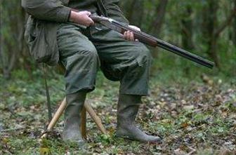 Med skupinskim lovom huje poškodovan