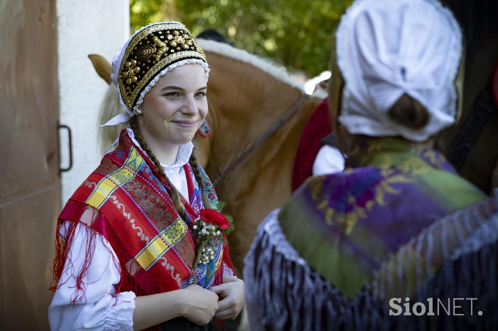 Posavsko štehvanje