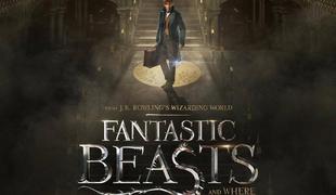 Magične živali (Fantastic Beasts and Where To Find Them)