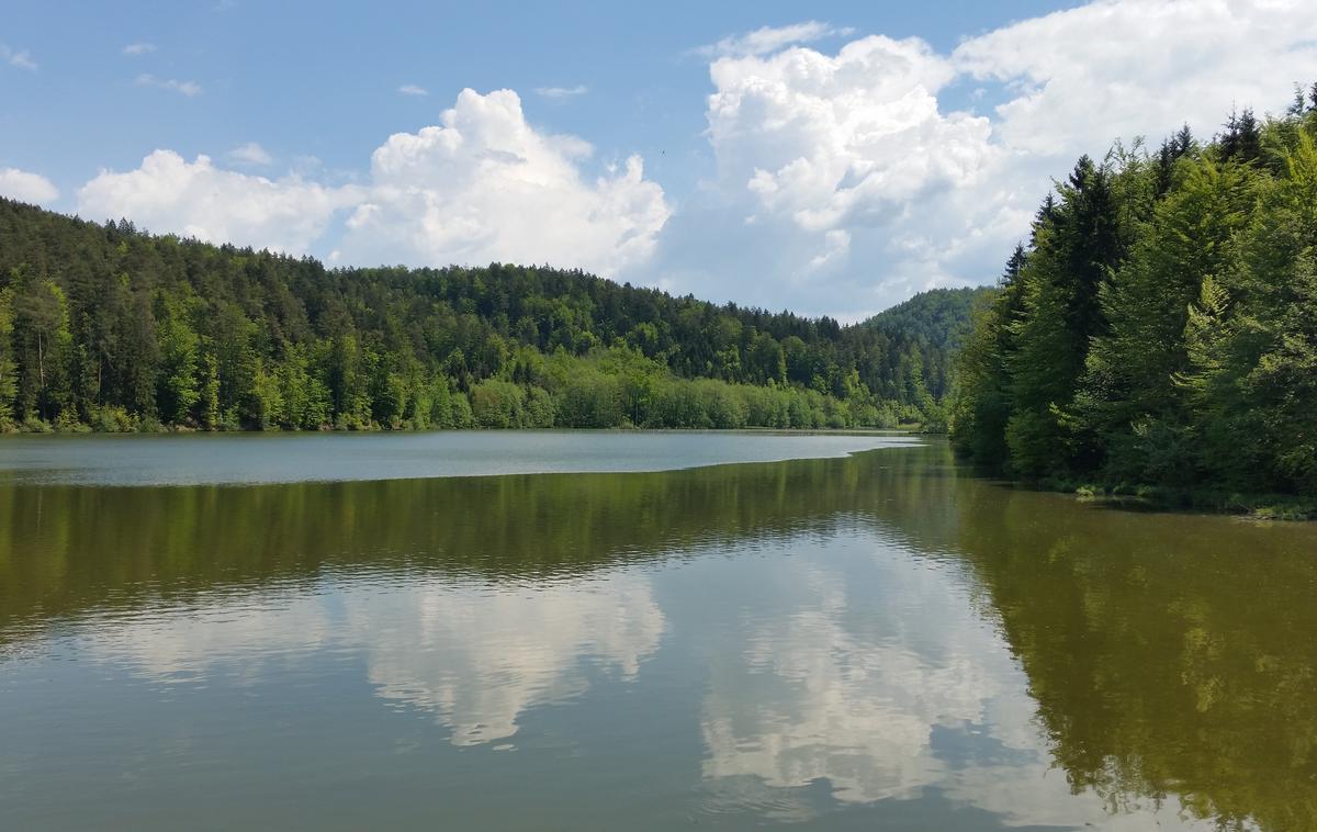 Gradiško jezero | Foto Srdjan Cvjetović