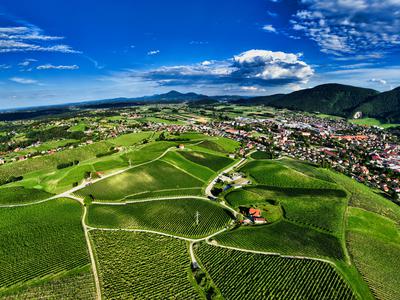 Pomlad že diši po vinu: pobegnite med vinograde, kjer čas teče počasneje