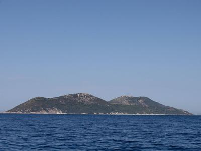 Težave na jadranskem otoku, ki ga želi imeti družina Trump