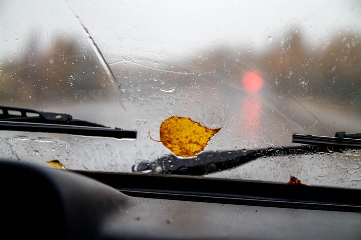 jesen, cesta, vožnja, varnost | Foto: Shutterstock