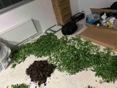 Na območju Trzina v hišni preiskavi zasegli večjo količino prepovedane droge #foto