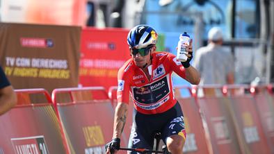 Rdečega Rogliča opazovali biki: K sreči so ostali v ogradi