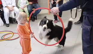 Slovenski policisti s psoma presenetili otroke v bolnišnici #video
