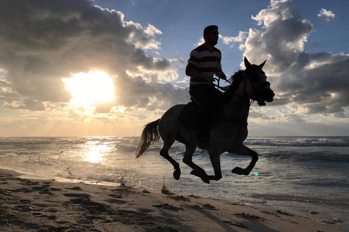 Palestinski jahač in njegov konj na plaži v Gazi, februar 2017. | Foto: Reuters