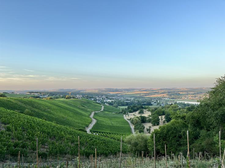 Vinogradi nad Remichem s pogledom na dolino Mozele | Foto: Osebni arhiv Tamare Toplak Vajdič