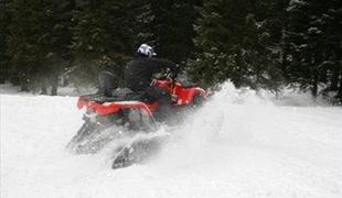 BRP apache ATV track system