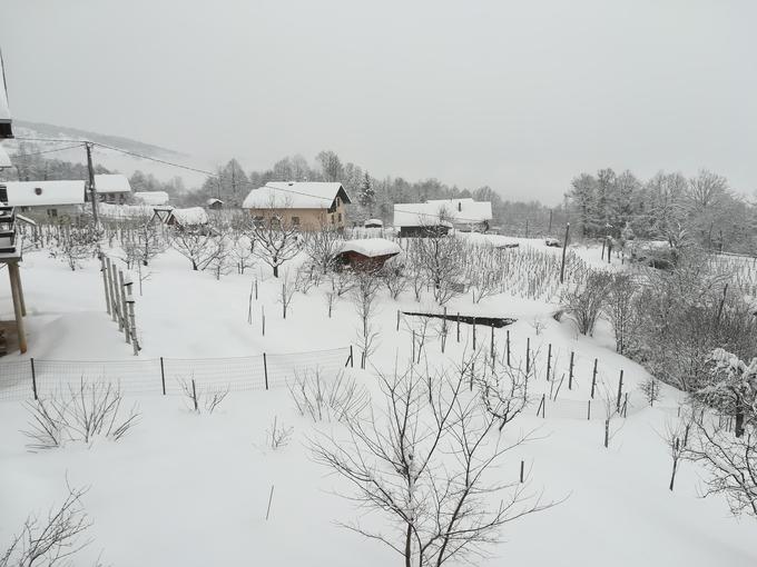 V južnem delu Slovenije lahko v ponedeljek pade tudi kaj snega. | Foto: 