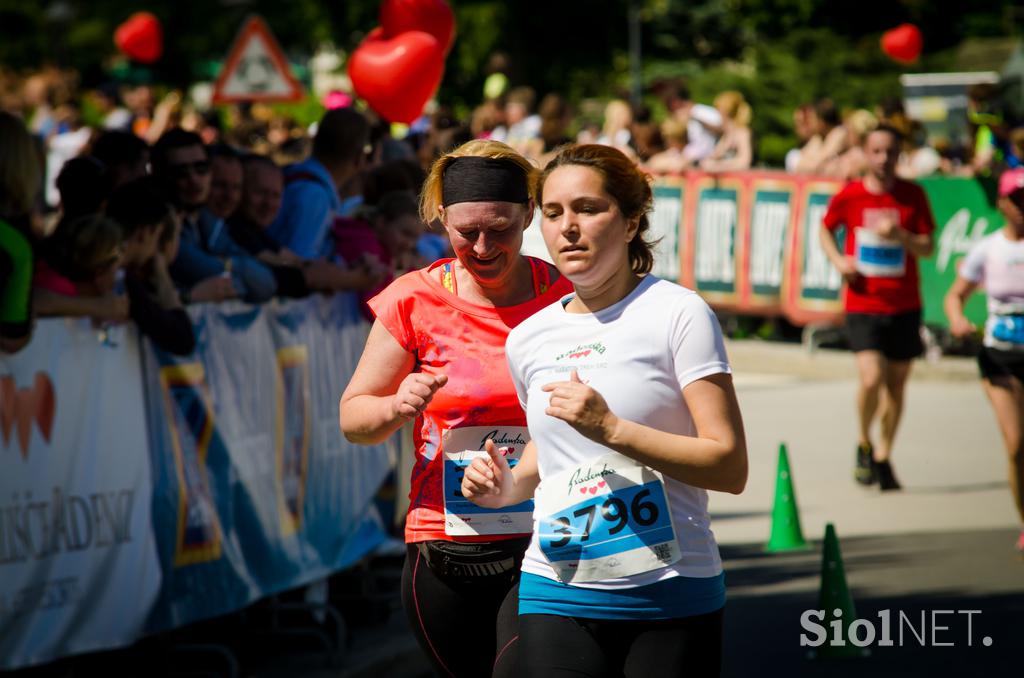 Radenci 2016 2 del