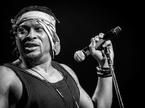 D'Angelo, glasbenik