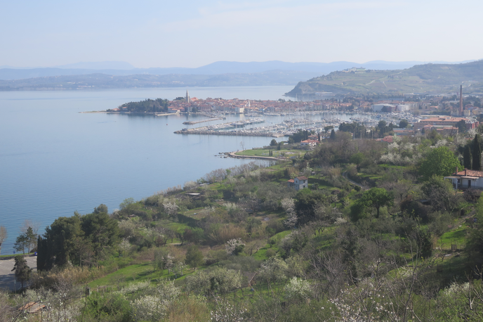 Izola | Foto STA