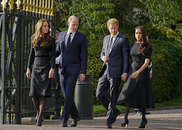 Princ Harry in Meghan Markle sta ob selitvi v Kalifornijo in umiku od kraljevih dolžnosti pretrgala stike s Harryjevim bratom Williamom in princeso Kate. | Foto: Guliverimage
