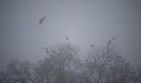 Znano je, kakšno vreme nas čaka v prihodnjih dneh