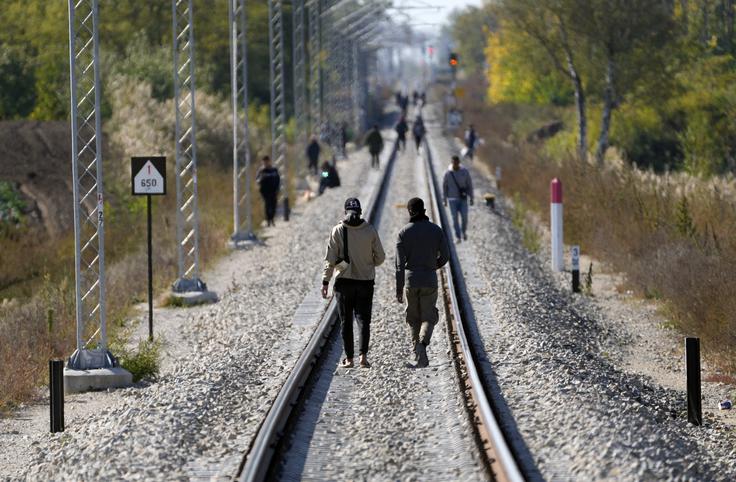 Migranti v bližini meje med Madžarsko in Srbijo lani oktobra | Foto: Guliverimage