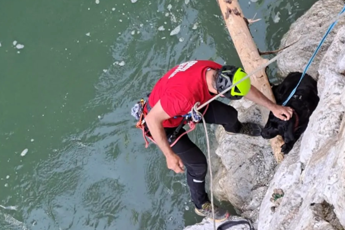 GRS Tržič | Z vrvno tehniko se je do ujetega psa spustil gorski reševalec in ga spravil na varno. | Foto Gorska reševalna služba Tržič/Facebook