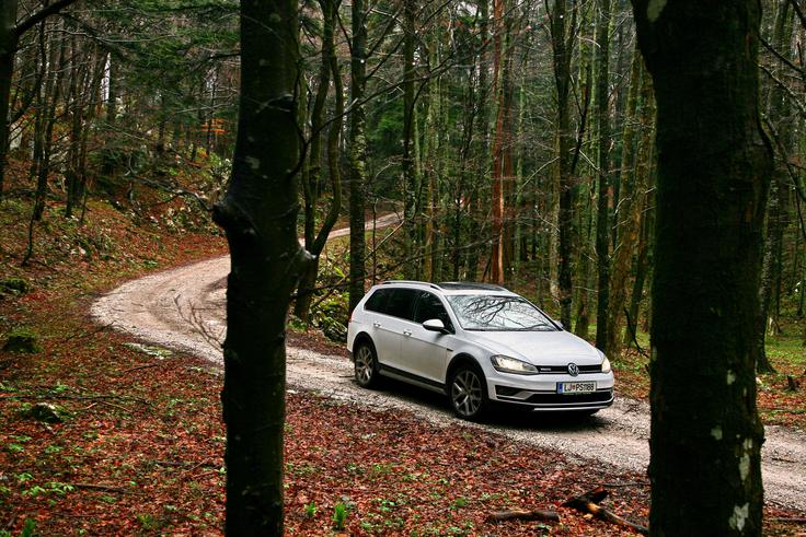 Alltrack: poti, ki so daleč od urejenih asfaltnih, mu ne predstavljajo večjih težav. | Foto: Vinko Kernc