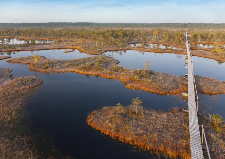 Po predlogu strokovnjakov iz greifswaldskega središča za mokrišča bi s pomočjo evropskega denarja ponovno navlažili nekdanja mokrišča na vzhodu Evrope. Ta mokrišča naj bi imela poleg obrambnega učinka tudi velike učinke na ohranjanje podnebja. Na fotografiji: mokrišče v Estoniji. | Foto: Guliverimage