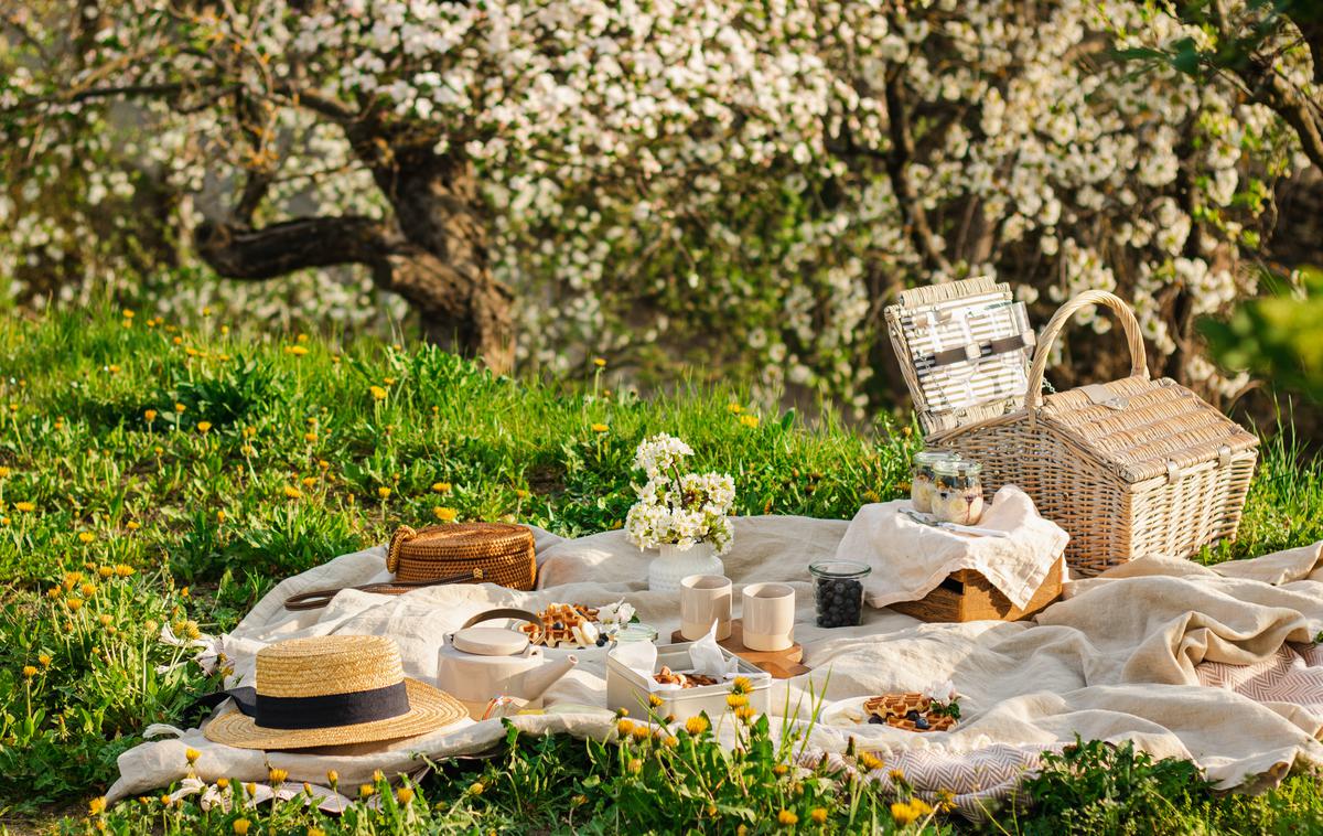 Piknik | Foto Shutterstock