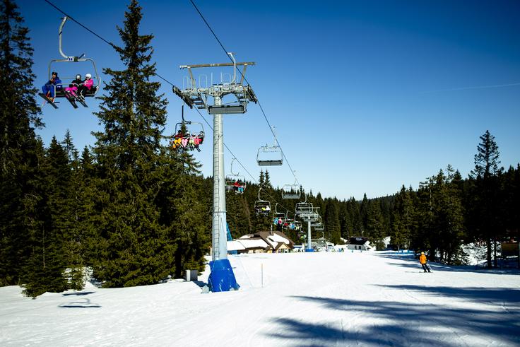 Rogla | Foto: Ana Kovač