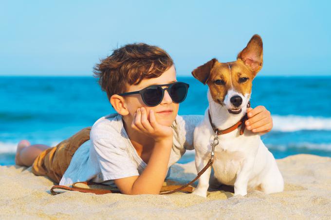 pes kuža potovanja dopust | Foto: Shutterstock