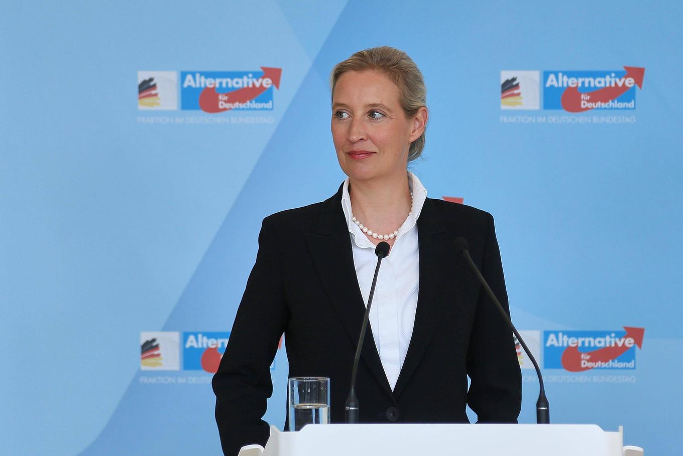 Načrti AfD: Pot do nemške marke in zaprtih meja, ki bi pretresla Evropo in Slovenijo