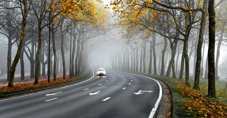 jesen, cesta, vožnja, varnost | Foto: Shutterstock