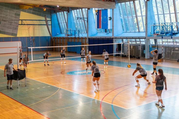 OK Calcit Volley | Foto: OK Calcit Volley