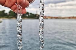 Nenavadni organizmi preplavili morje v Istri