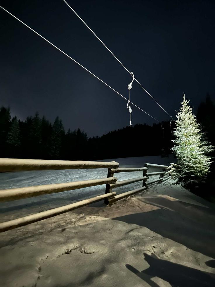 Pokljuka, sneg | Foto: bralka