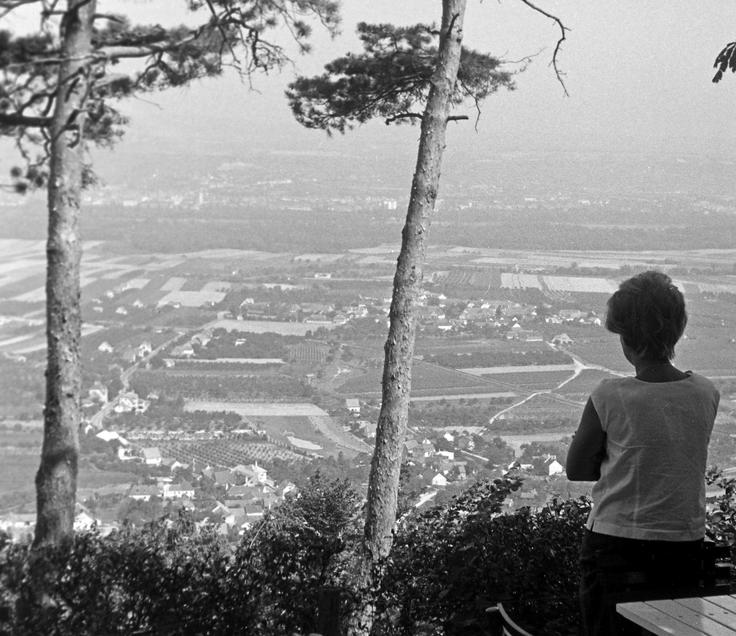 Znani avstrijski jezikoslovec Georg Holzer je leta 2004 zapisal, da sta bili praslovanski rečni imeni Bālta in Berzinīkā (danes Palt in Perschling) že pred letom 770 prevzeti v predbavarsko germansko narečje, ki se je tedaj govorilo v Spodnji Avstriji. To germansko narečje je po Holzerju okoli leta 770 skupaj s staro visoko nemščino preoblikovalo glas b v glas p. Na fotografiji: dolina reke Perschling. | Foto: Guliverimage