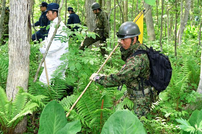 iskanje, japonska, gozd | Foto Reuters