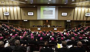 Škofje na sinodi: Cerkev ne sme nikogar izključevati