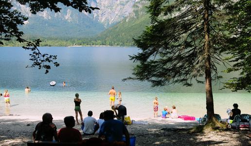 Voda v Bohinjskem jezeru je čista, v gošči pa so našli cianotoksine